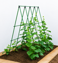 Horizontal Steel Vegetable Frame - 120cm wide x 120cm Tall