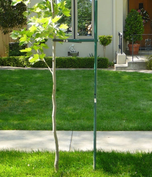 0.9m x 16mm Plastic Coated Steel Garden Stake