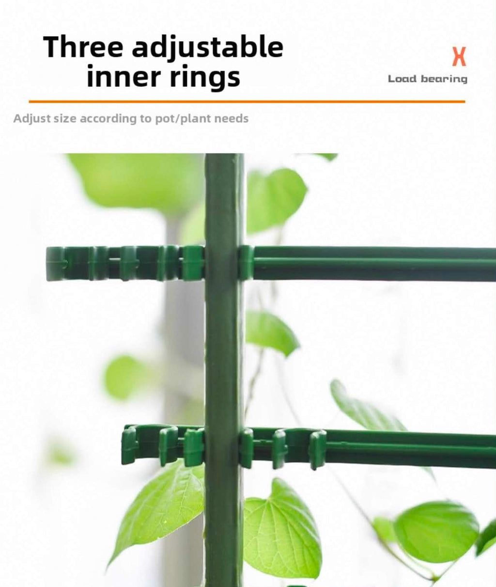 Steel Braced Tomato Frame 150cm