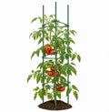 Steel Braced Tomato Frame 150cm